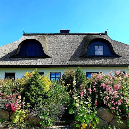 Insel Landhaus Bernstein Villa Гагер Екстериор снимка